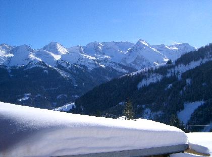 Geisler 009 